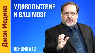 Как Удовольствие командует Вашим  мозгом? 💥 Джон Медина — Лекция №12