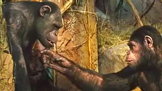 Chimpanzés Ficam Amigos De César | Planeta dos Macacos: A Origem (2011) DUBLADO HD