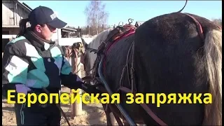 Европейская упряжь. Фильм второй. Запряжка