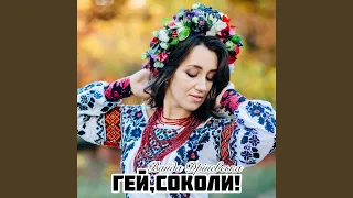 Гей, соколи!