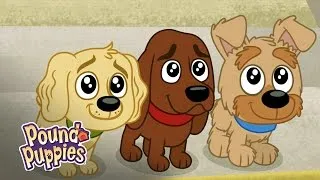 Pound Puppies - Charming Puppies