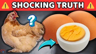 The Shocking Scientifically Proven Truths About EGGS You Still Don't Know