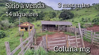 PROPRIEDADE / SÍTIO DE 67.76 HECTARES À VENDA , COM 3 NASCENTES DE ÁGUA , EM COLUNA MG ( ROÇA)