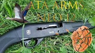 Ata Arms NEO12. Обзор модели 2019 года