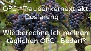 OPC - Traubenkernextrakt - Dosierung "Wie berechne ich meinen täglichen Bedarf?"