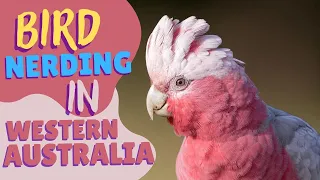 Bird Nerding in Western Australia!