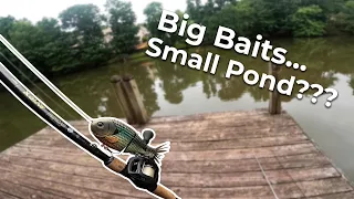 Fishing in a Small Pond with only BIG BAITS!!! (Mike Bucca's Bull Gill)