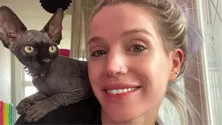 What it's really like to have SPHYNX Cats // A DAY IN THE LIFE VLOG !