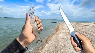 Eating my BAIT.. (Catch, Clean, Cook) *Surprising*