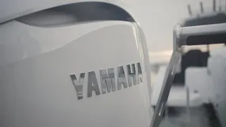 New Yamaha F350 4.3L V6 Outboard Launch