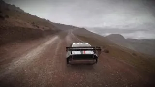 DiRT Rally Pike's Peak: Spectators not bothered lol