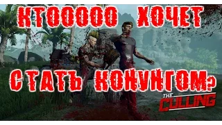 Кто хочет стать конунгом Cullinga?!