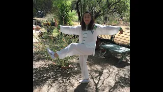 World Tai Chi and Qigong Day 2020