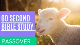 Passover Bible Study - 3 Days in 60 Seconds
