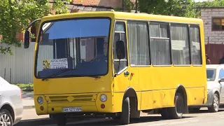 У Коломиї відновлює роботу громадський транспорт