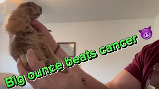 Big ounce edit… (he beats cancer)