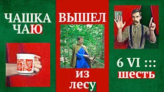 ПАДЕЖИ русского языка, которые НЕ ИЗУЧАЮТ В ШКОЛЕ | Правда ли, что их больше шести?