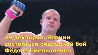 Очередной бой Фёдора Емельяненко 29 декабря в Японии