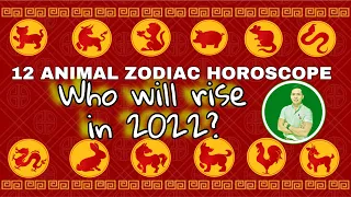 2022 CHINESE ZODIAC HOROSCOPE | 12 ZODIAC ANIMAL FORECAST FOR THE YEAR OF THE TIGER | LUCKY COLOR