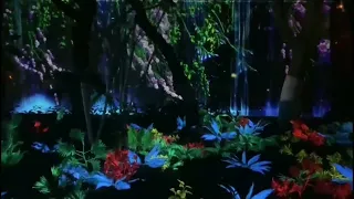 Interactive Projection System, Immersive Forest Projection Supplier, hologram projection-DIFWOD