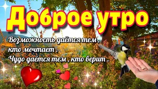 🌺🌈💗Доброго утра благословенного дня!🙏🌞💗Красивое музыкальное пожелание 🎵