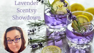 Scentsy Lavender Showdown - Who's the best?