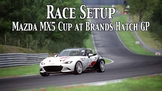 Assetto Corsa: Race Setup (Mazda MX5 Cup @ Brands Hatch GP) + Base Setup