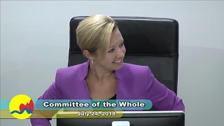 Committee of the Whole - July 24, 2018