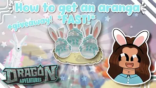 How To Get An Aranga *FAST!* *+GIVEAWAY!* (Dragon Adventures, Roblox!