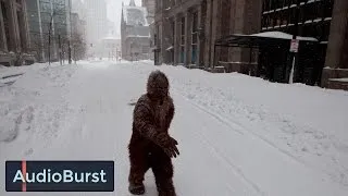 Believe it or not: Sounds of a Sasquatch