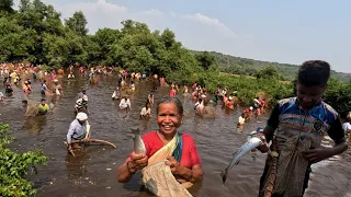 सगळा गाव उतरला मासे पकडायला पाण्यात , कोकणातील मासेमारी | Traditional fishing kokan @TejaGurav