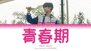 TF家族 (TFFAMILY) - 青春期 (Youth) [Color Coded Lyrics Chi | Pin | Eng]