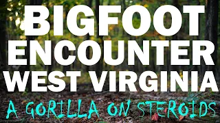 Bigfoot Encounter In West Virginia | Father And Son See A Cryptid Creature (Gorilla On Steroids)