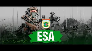 AULA 1  - CURSO PREPARATÓRIO PARA ESA - Escola de Sargentos das Armas -  GEOGRAFIA DO BRASIL