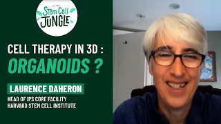 Cell therapy in 3D : Organoids ? I Laurence Daheron I In the Stem Cell Jungle