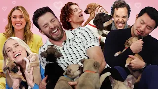 Marvels Puppy Interview Marathon