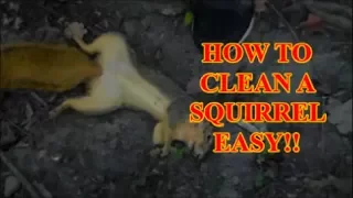 HOW TO CLEAN A SQUIRREL EASY!!