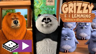 Il panda | Grizzy e I lemming | Boomerang