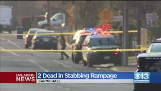 2 Dead In Stabbing Rampage