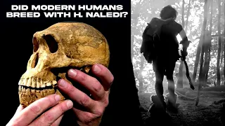 Historic New Archaeological Discovery - Homo Naledi Was Highly Intelligent