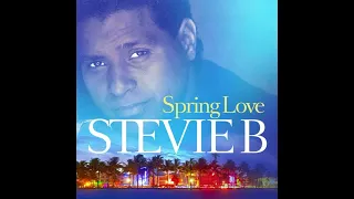 Spring Love (Remix) - Stevie B