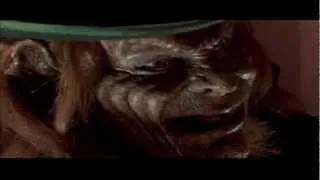 The Ultimate of Ultimate Leprechaun Tributes