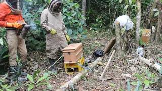 ¿QUE HACER DESPUÉS DE CAPTURAR LAS ABEJAS?