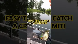 Easy Trick To Catch Your CRAPPIE LIMIT!