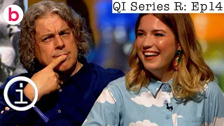 QI Series R Full Episode 14: Rogue | With Bill Bailey, Jack Carroll and Olga Cock