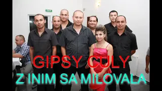 GIPSY CULY DEMO 43 2013  1