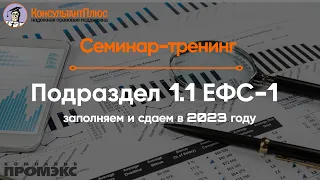 Подраздел 1.1 ЕФС-1: заполняем и сдаем в 2023 году