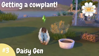 Getting a Cowplant berry 🐮 🍓 | Sims in Bloom Legacy #3 ♡