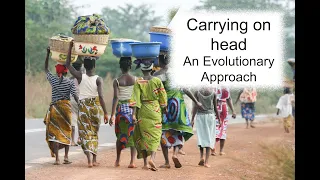 Carrying on Head, an Evolutionary Approach