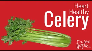 AMAZING HEALTH BENEFIT OF CELERY